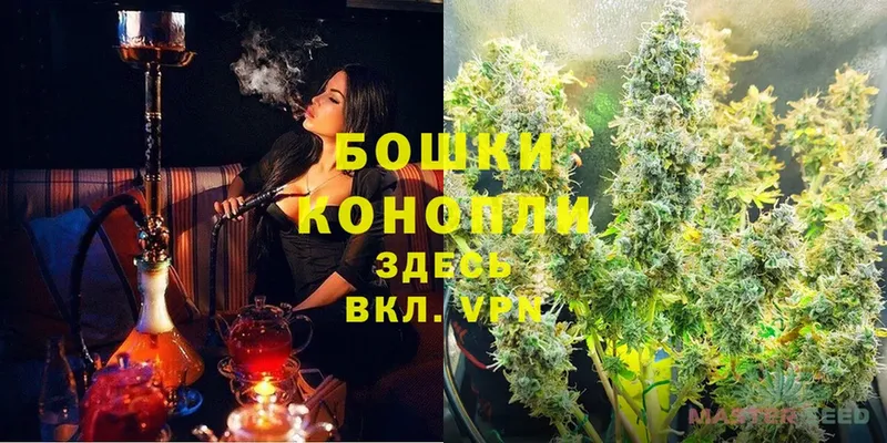 Бошки Шишки THC 21%  где купить наркоту  кракен как зайти  сайты даркнета какой сайт  Карталы 